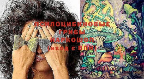 mdpv Новозыбков