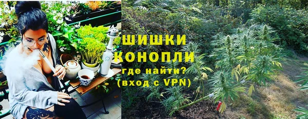 mdpv Новозыбков