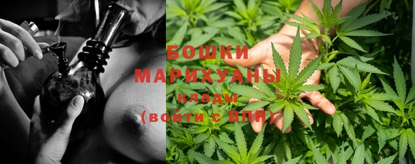 марихуана Новокубанск