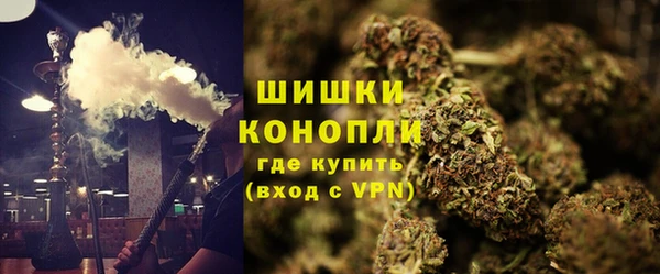 mdpv Новозыбков