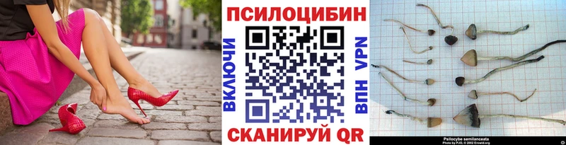 Галлюциногенные грибы GOLDEN TEACHER  Мегион 