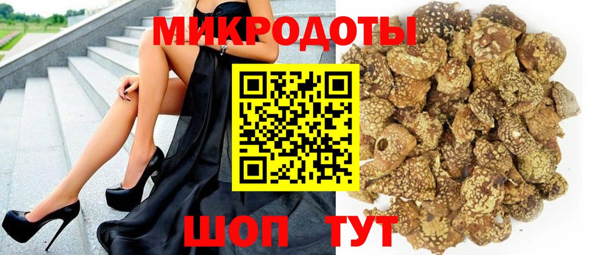 Галлюциногенные грибы Psilocybe Мегион