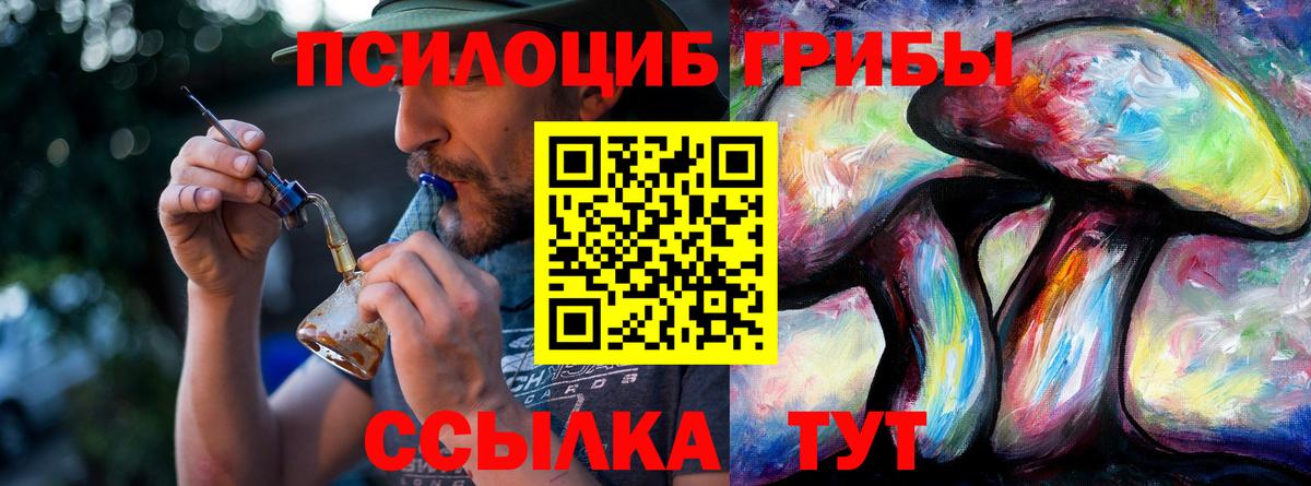 Галлюциногенные грибы Cubensis  Вход с VPN  Мегион 