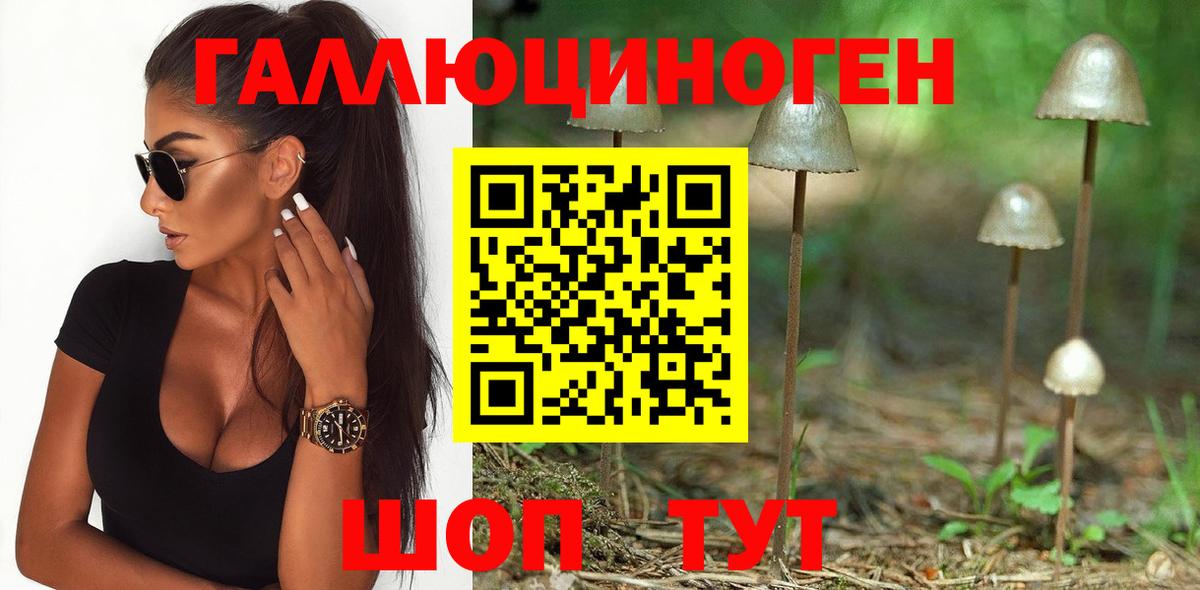 Псилоцибиновые грибы прущие грибы  Мегион 